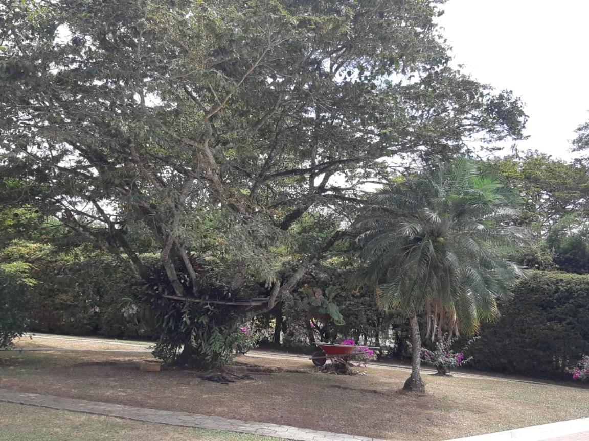 Finca Paraiso Calima Exterior foto